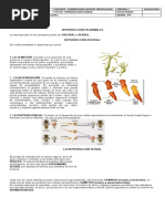 Reproduccion Animal New