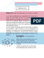 Catarsis PDF