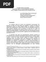 Relatório_A Prisão dentro da Prisão.pdf