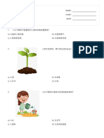 二年级科学-植物 - Print - Quizizz