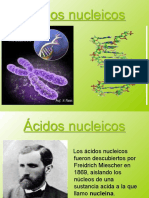 Ácidos Nucleicos