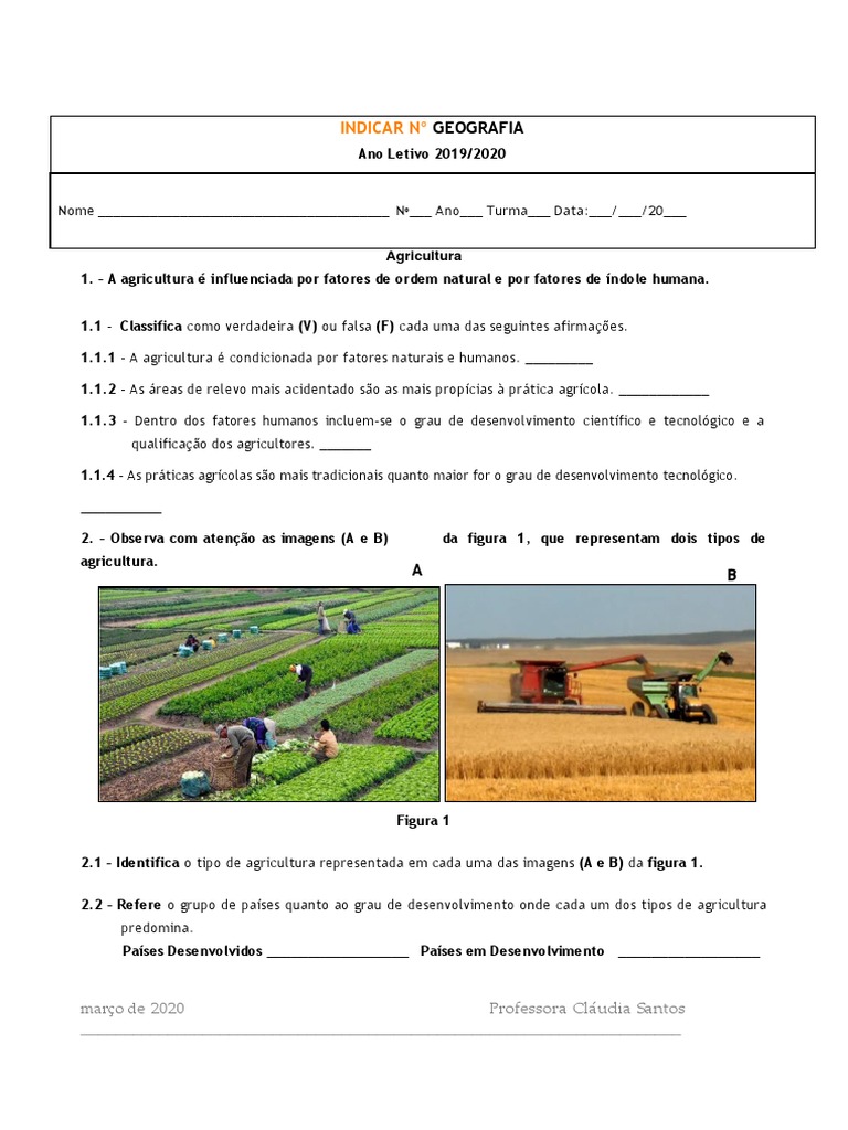 Ficha de Trabalho - Agricultura I | PDF | Agricultura | Economias