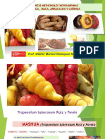 TEMA 1 Segunda PRODUCTOS NOVOANDINOS Tropaeolum Tuberosum, Lepidium Meyenii, Arracacia Xanthorrhiza,, Chenopodium Pallidicaule