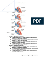 Taller de Graficas de Ciclo Ciclo Cardiaco Sistole y Diastole - CORREGIDO