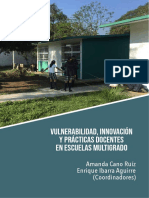 Libro Vulnerabilidad RIER PDF