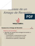 Causas de Un Reventón.pdf