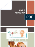 )Hernandezabrislaura Anatomia Blog