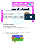 Ficha Reino Animal para Quinto de Primaria