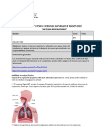 Etapa 3 Guía N°1  8° básico sistema respiratorio (junio 2020)