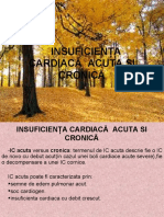 Insuficienta Cardiaca