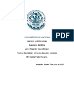 Separación de ácidos nucleicos dependiendo del tipo de muestra_Osuna Morales