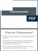 What are Chromosomes? - Understanding Their Structure and Classification
