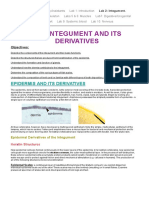 THE INTEGUMENT AND ITS DERIVATIVES Tariq Sir PDF