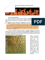 Troia2# PDF