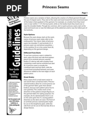 11 310 Princess Seams