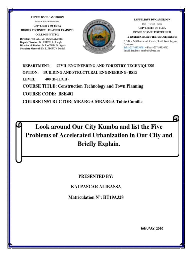 Town Planning Assignment PDF | PDF | Urbanization | Unemployment