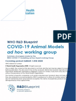 COVID-19 Animal Models: Ad Hoc Working Group