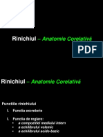 1. Curs Anatomia renala corelativa Glomerul martie 2020.pdf