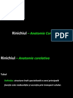 Curs Anatomia Renala Corelativatub Martie 2020 PDF