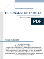 Tribunales de Familia