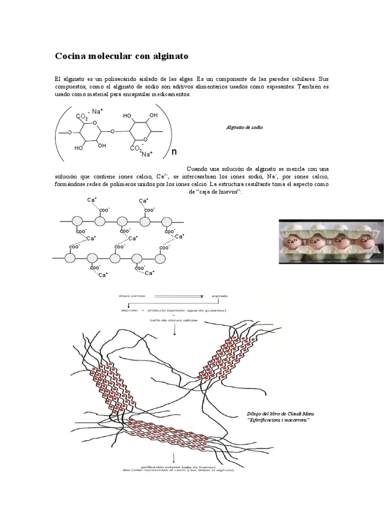 Alginato de Sodio (Alginus) Cocina Molecular 