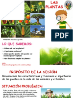 Sesión N°18 CT Primero Las Plantas Características y Funciones