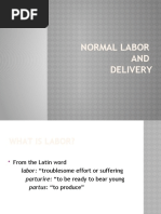 Download Normal Labor Ppt by Maria Angeline Pantua Albao SN46582658 doc pdf
