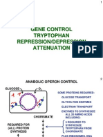 Gene Control Tryptophan Repression/Depression Attenuation