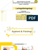 Anatomi Fisiologi Laryngofaringologi