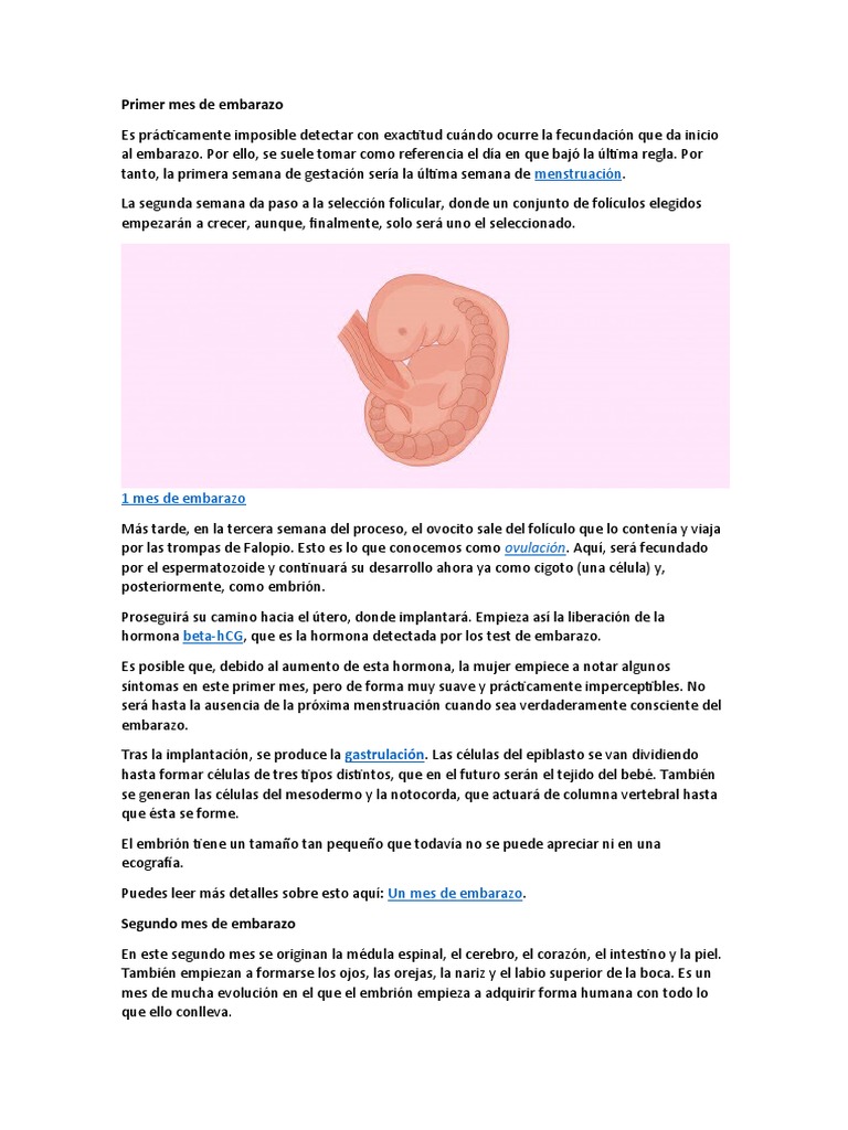 Síntomas del primer mes de embarazo | PDF | El embarazo | Parto