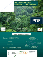 Silvicultura de Bosque Tropical Húmedo (1).pdf