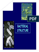 Chapter 1. Bacterial Structure