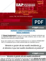 SEMANA 2 PRINCIPIOS DEL DERECHO AMBIENTAL.pdf