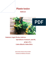 Plante toxice-Rostopasca