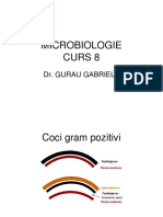 Curs 8 Microbiologie