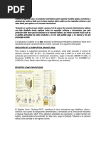 Evidencia_1_Asesoria_Caso_Exportacion