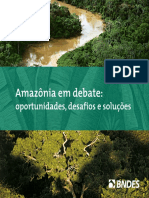 Banco Nacional de Desenvolvimento Econômico e Social--Brasil - Amazônia em debate_ oportunidades, desafios e soluções.pdf