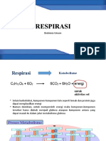 4.RESPIRASI