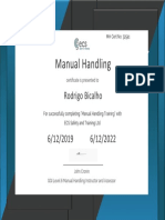 Manual Handling Manual Handling: Rodrigo Bicalho