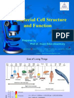 Bacterial Cell Structure and Function: Prepared by Prof Dr. Ihsan Edan Alsaimary