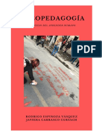 Psicopedagogía. Travesías en El Aprender Humano. Nov 2019 PDF