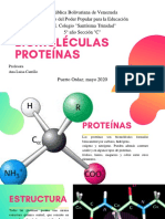 Biomoléculas (Diapositivas de Química)