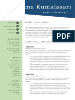 CV Template 4