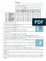 FE-L04. Functii de Baza in Excel PDF