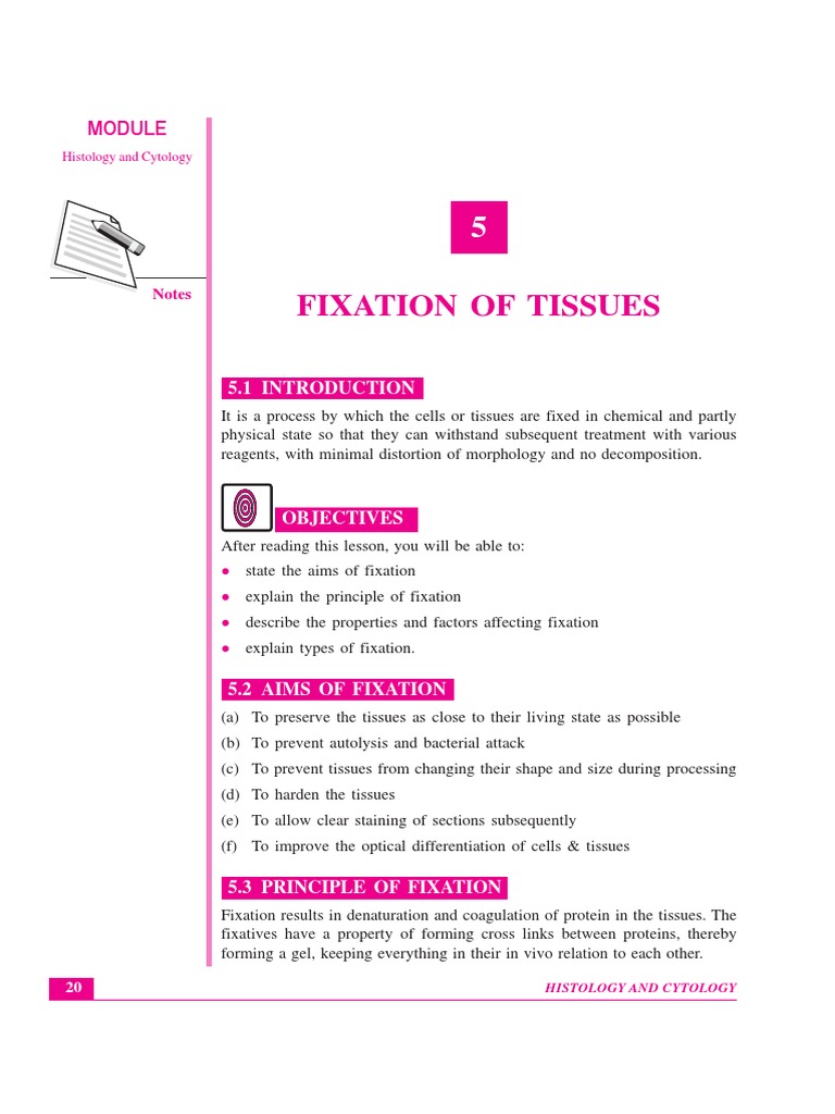 Fixation of Tissues Notes PDF Fixation (Histology) Histology