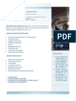 BROCHURE MULTISERVICIOS GENERALES NDT.pdf