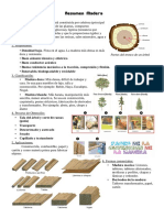 Resumen madera y metales.pdf