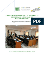 Rapport_Atelier_formation_outils_economie_environement_juin2019