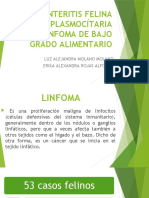 Enteritis Felina Linfoplasmocitaria y el Linfoma de Bajo Grado Alimentario.pptx