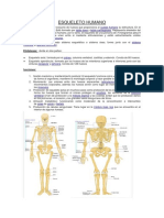 ESQUELETO HUMANO.pdf